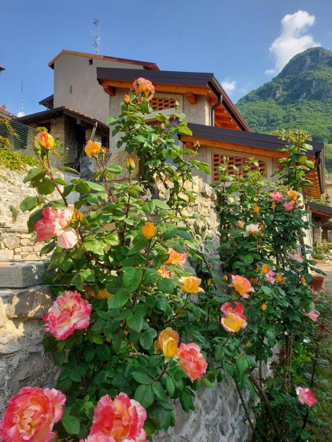 Our Happy Place - Casa Vacanze Per Il Viaggiatore Slow Mandello del Lario Dış mekan fotoğraf
